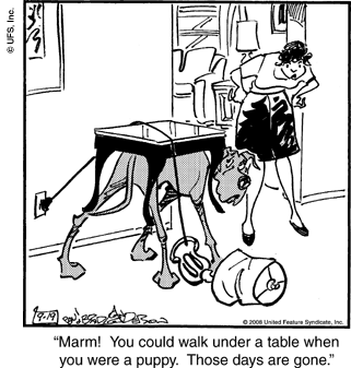 marmaduke